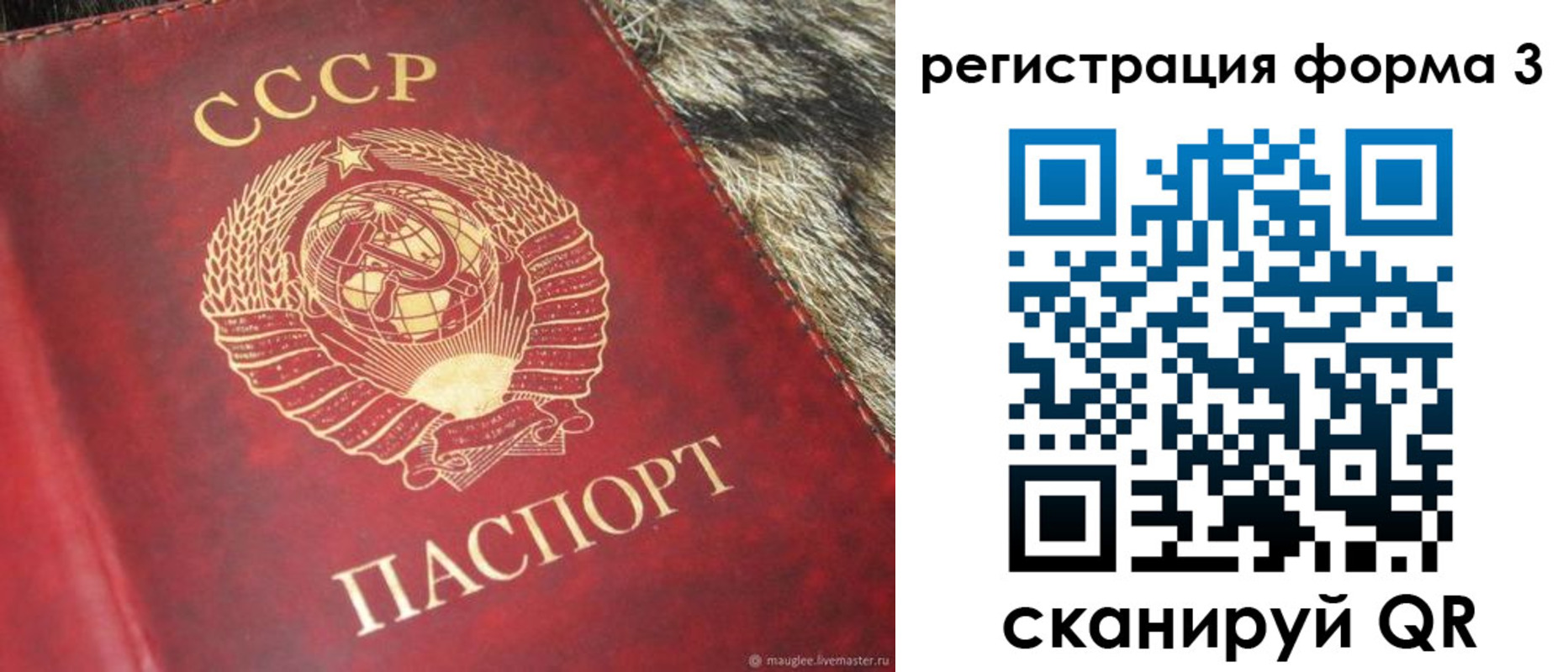прописка регистрация в Мурино